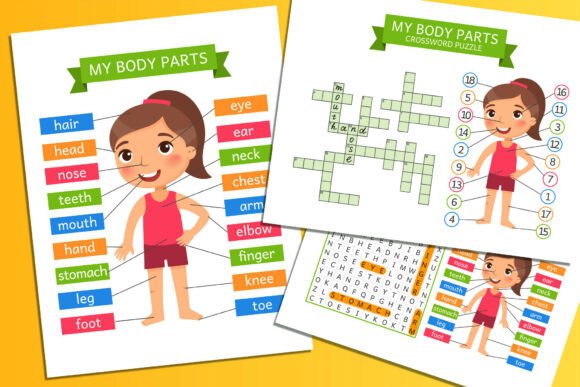 Download My Body Parts. Fun Learning Worksheets - Art Collection