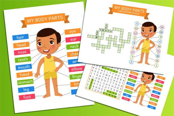 Download My Body Parts. Educational Flashcards - Art Collection