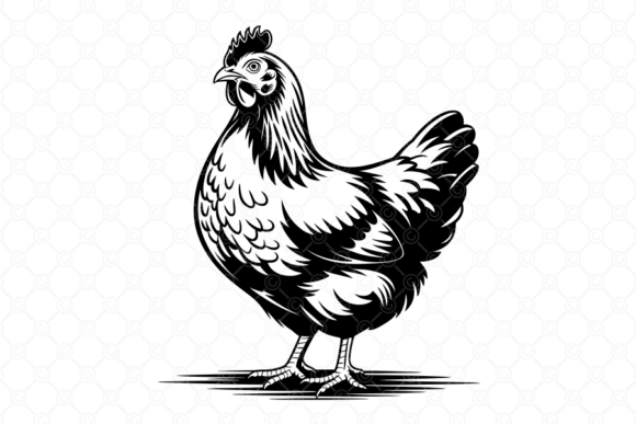 Download Chicken SVG, Hen SVG, Farm Clipart, 017 - Art Collection