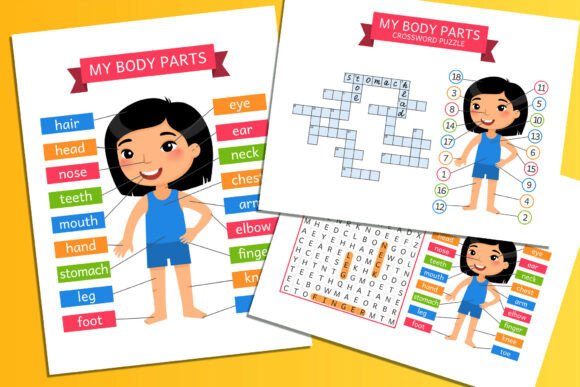 Download My Body Parts – Kids Flashcards Game - Art Collection