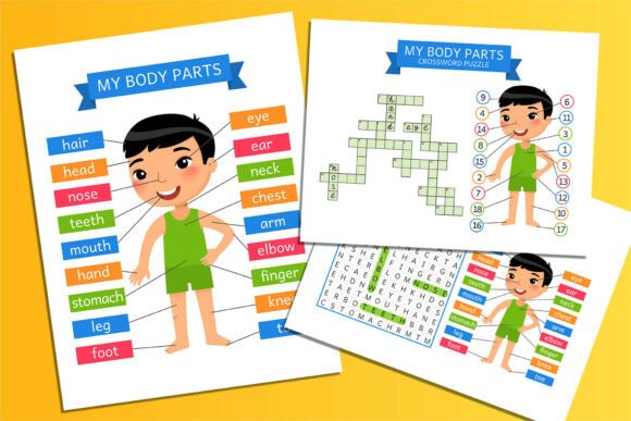 Download My Body Parts – Printable Learning Cards - Art Collection
