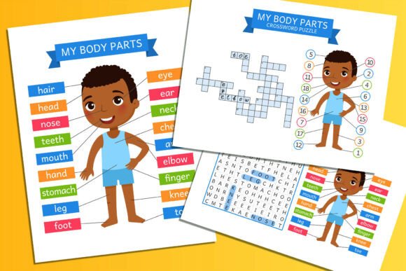 Download My Body Parts. Flashcards for Learning - Art Collection