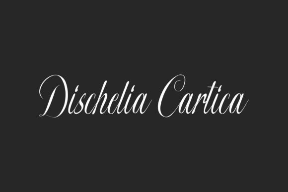 Download Dischelia Cartica - Art Collection