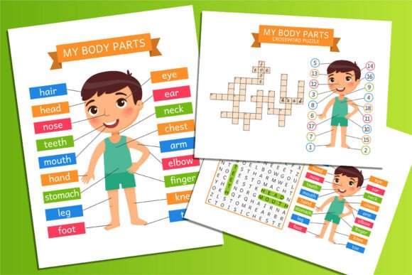 Download My Body Parts – Educational Flashcards - Art Collection