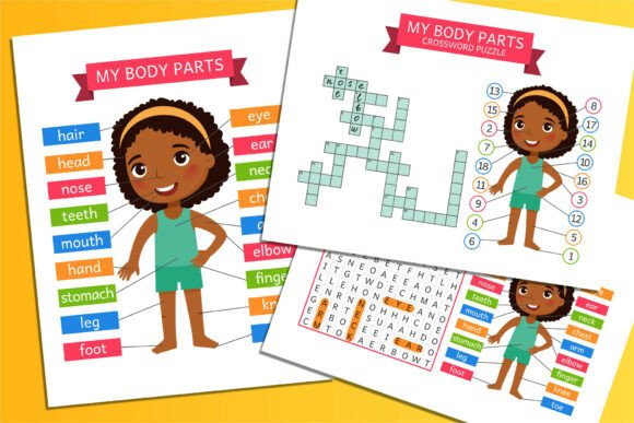 Download My Body Parts – Flashcards - Art Collection