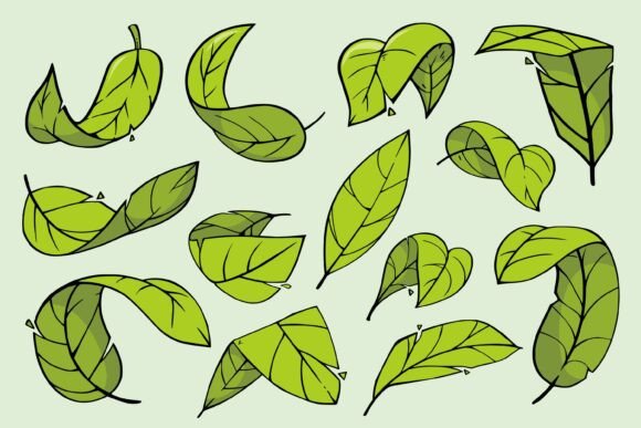 Download Green Leaf Doodle Clipart Set - Art Collection